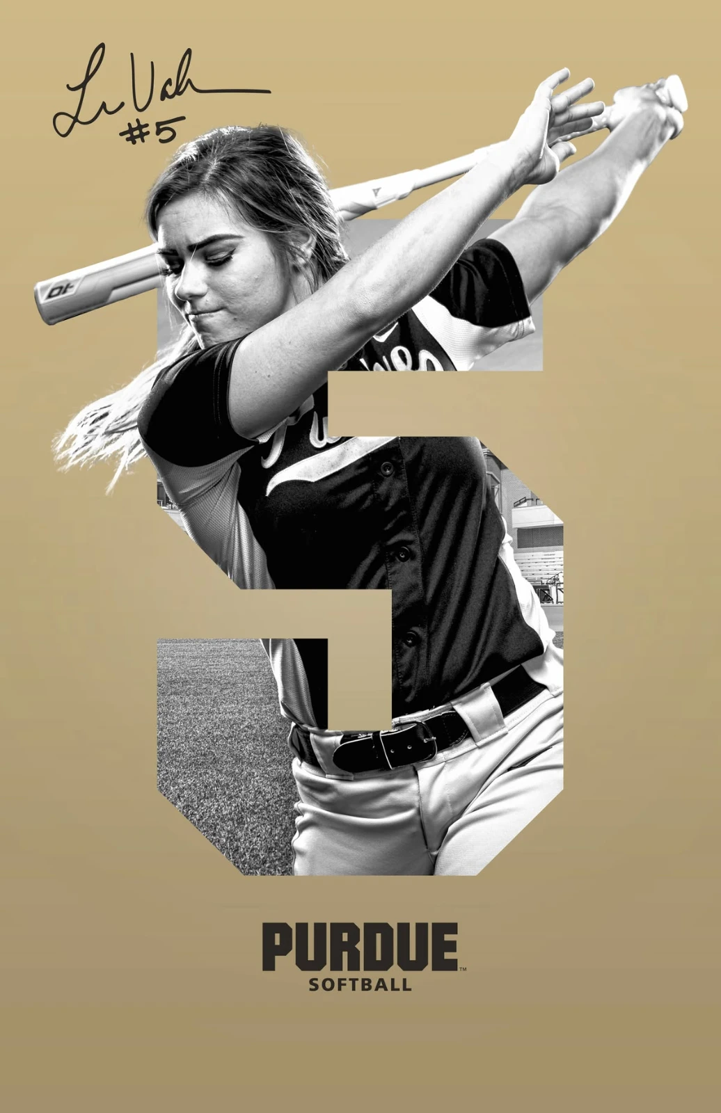Softball Action Poster